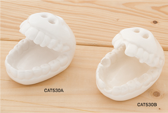 CAT530A / ハイザラス　CAT530B / ハイザラス 虫歯有り