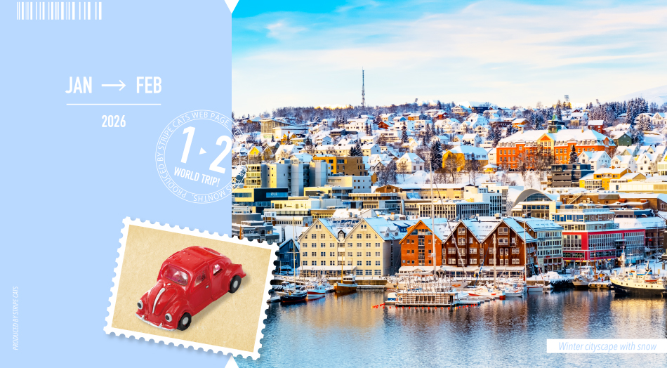 �X�g���C�v�L���b�c